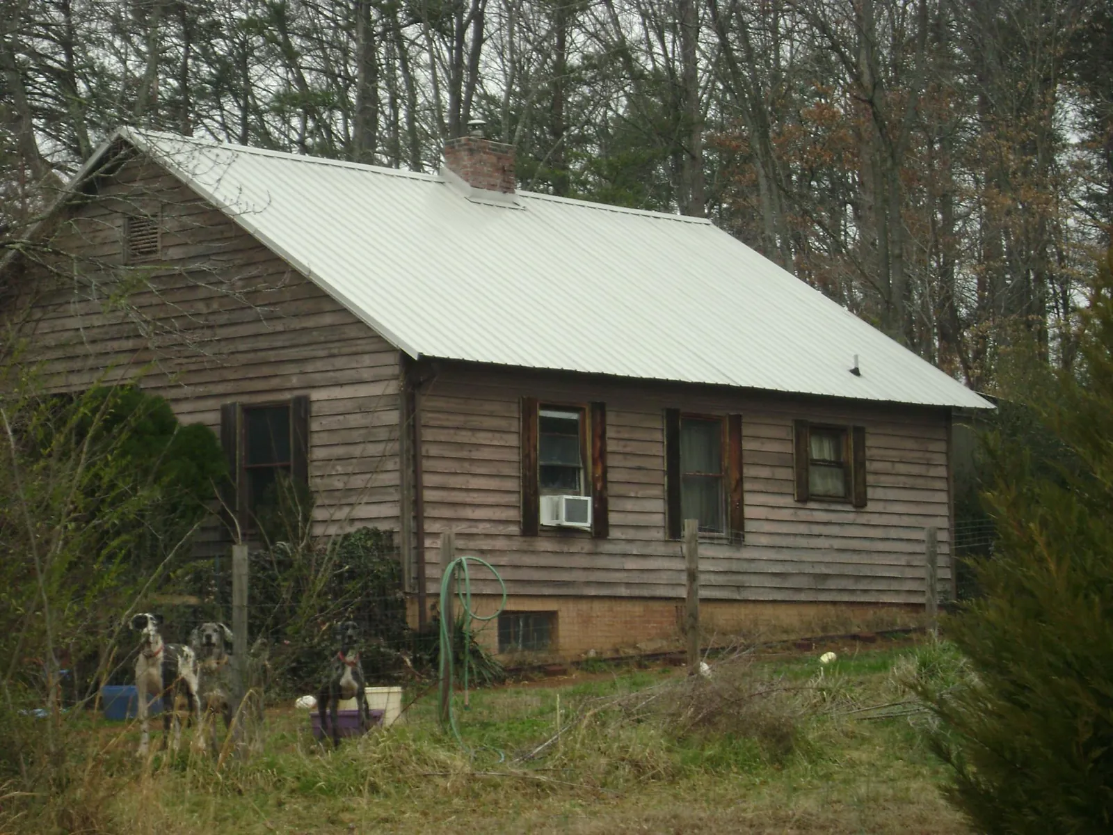 White metal roof on an old wood sided farmhouse, from a Metal Roof Installation job in Sutherlin